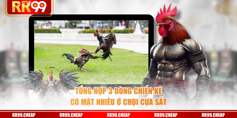 Tổng hợp 3 dòng chiến kê có mặt nhiều ở chọi cựa sắt